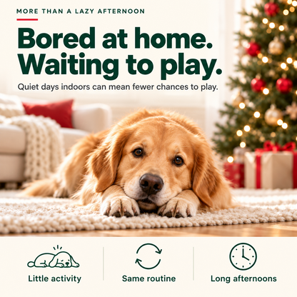 JollyPup™ Christmas Play Ball