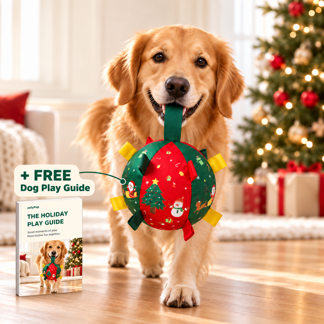 JollyPup™ Christmas Play Ball